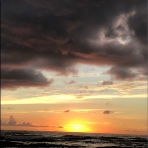 Meet your Posher, Letty